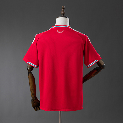 Wales 2026 Home Jersey S-4XL - 1
