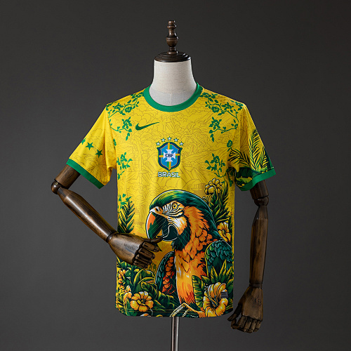 Brazil 2026 Special Edition Jersey S-XXL - 1